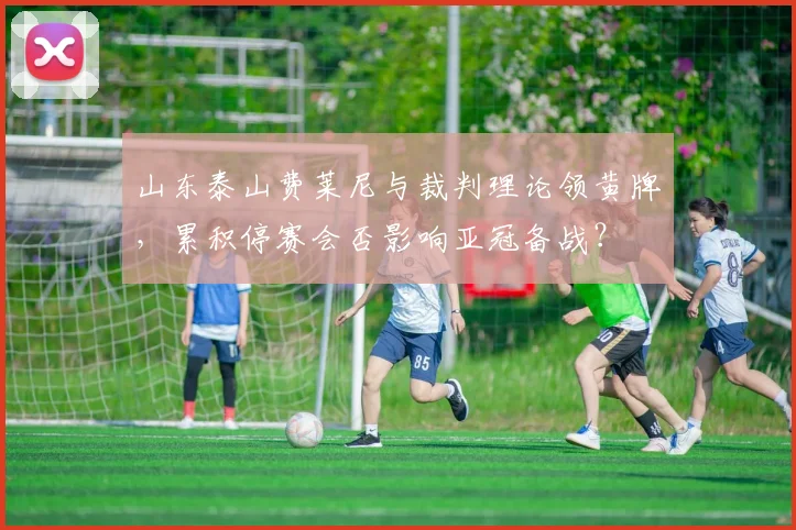 山东泰山费莱尼与裁判理论领黄牌，累积停赛会否影响亚冠备战？